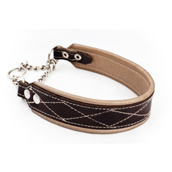 Padded shaped combo dog collar